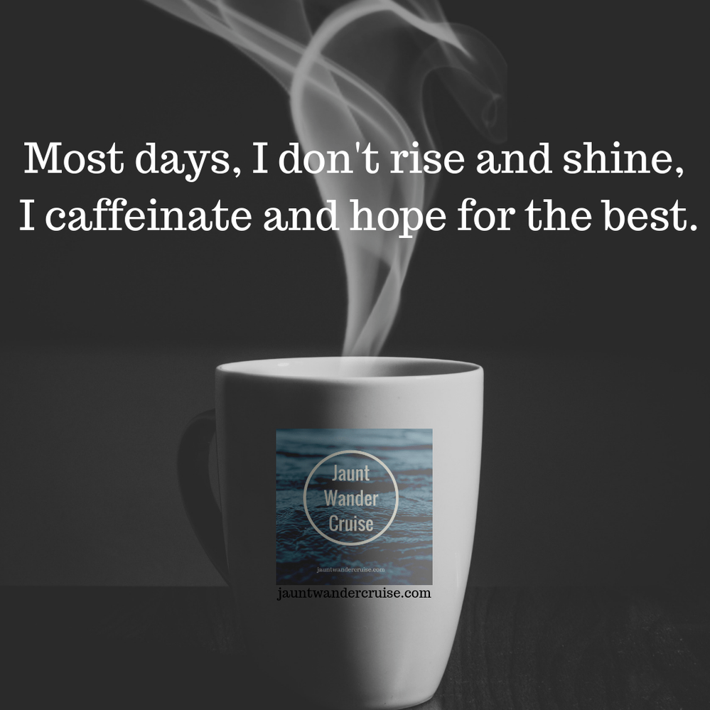 Dont-Rise-and-Shine-I-Caffeinate-and-Hope-For-The-Best.png