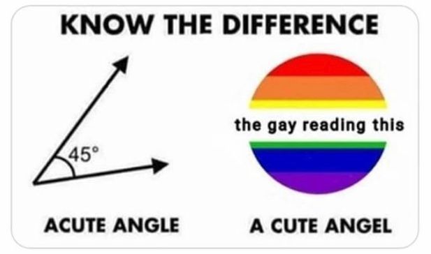 pride-month-memes-15-1559585692932.jpg