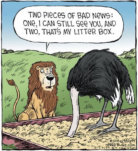 LionOstrich.jpg